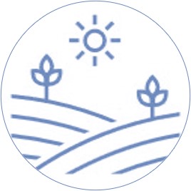 medio-ambiente
